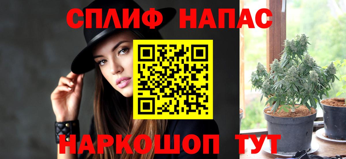 Стрежевой  Бошки марихуана Ganja  Вход с VPN  Шишки марихуана Bruce Banner  Бошки марихуана конопля 